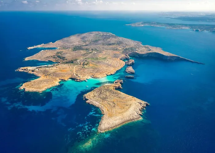 Valley Mist Nb 1 Gozo - Happy *